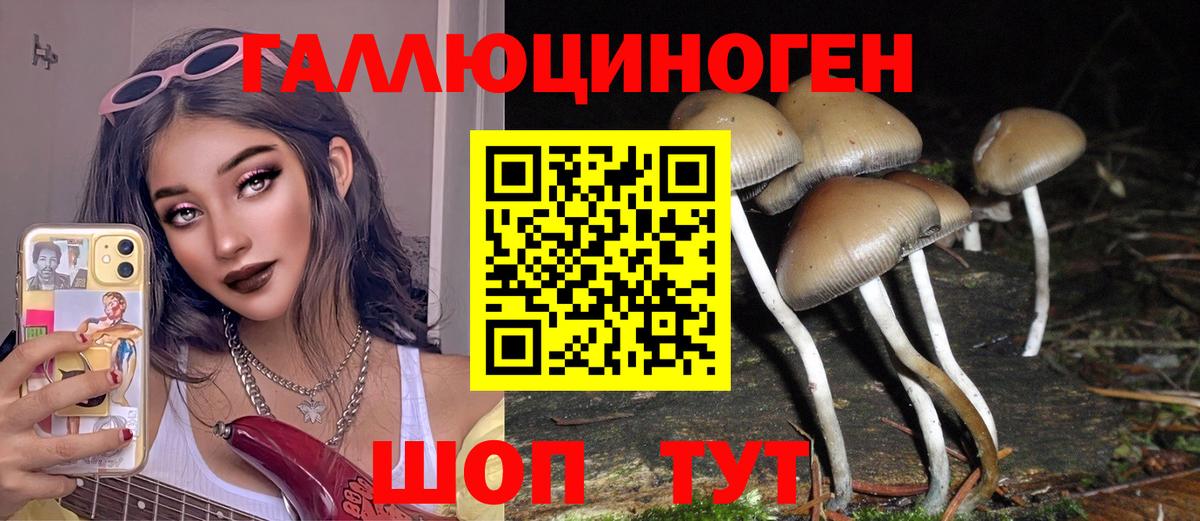 Псилоцибиновые грибы GOLDEN TEACHER Елабуга