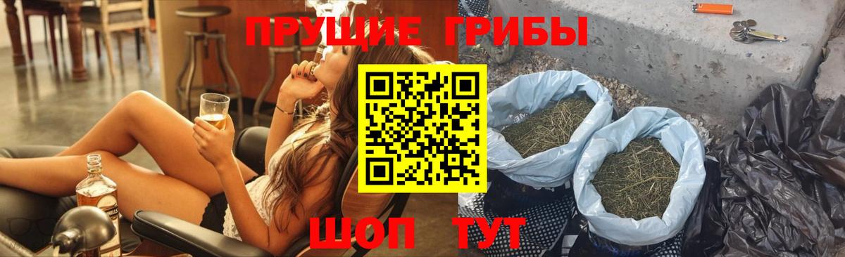 Псилоцибиновые грибы Psilocybine cubensis  Псилоцибиновые грибы Psilocybe  Вход с VPN  Елабуга 